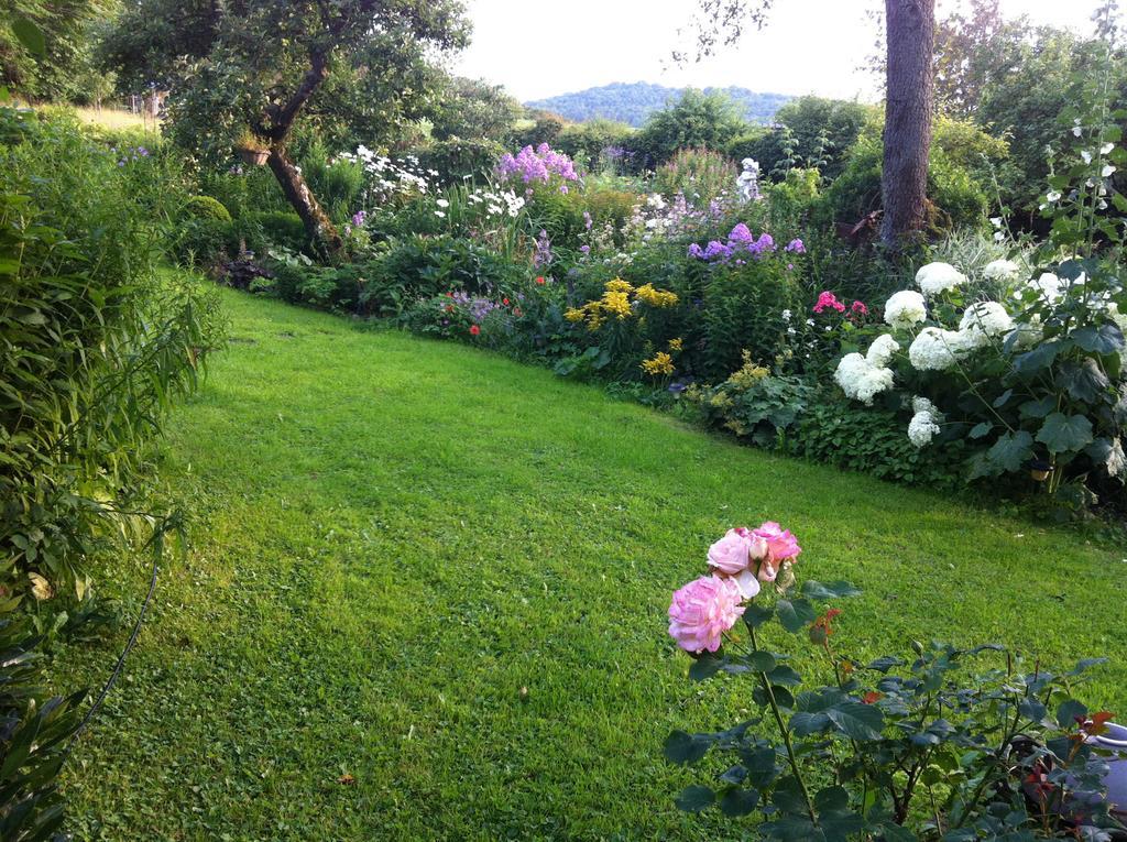 All Seasons Bed & Breakfast Kerpen  Exterior photo